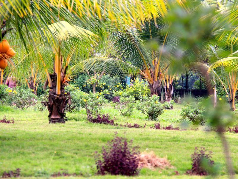 Okura Island Resort And Spa Kadalur Exterior foto